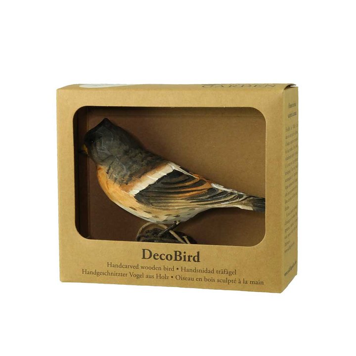 154809818-origpic-ccc5ef