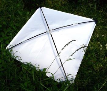 Toile de remplacement - parapluie japonais
