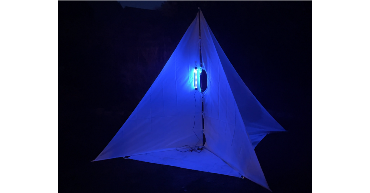 Hôtel à Insectes Papillon Vert - Animalerie