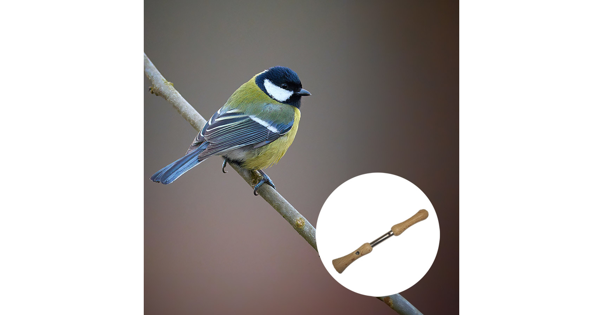Lockvogel Kohlmeise - Ornithologie - Vgel/Lockpfeife - Vgel - maunakea-de