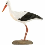cigogne-blanche-WG469-wildlife-garden-(1)