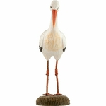 cigogne-blanche-WG469-wildlife-garden-(5)