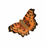 11661204-origpic-85542b