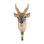 Patere-crochet-wildlifegarden-eland-du-cap-face