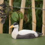 WG458_DecoBird_Eider_maunakea