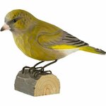 11661160-origpic-9fb38b