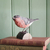 WG409_DecoBird_Bulldfinch_bouvreuil-pivoine-maunakea