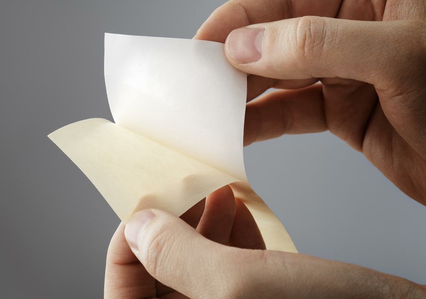 gummiertes Papier (1m) - Herbariumsbedarf