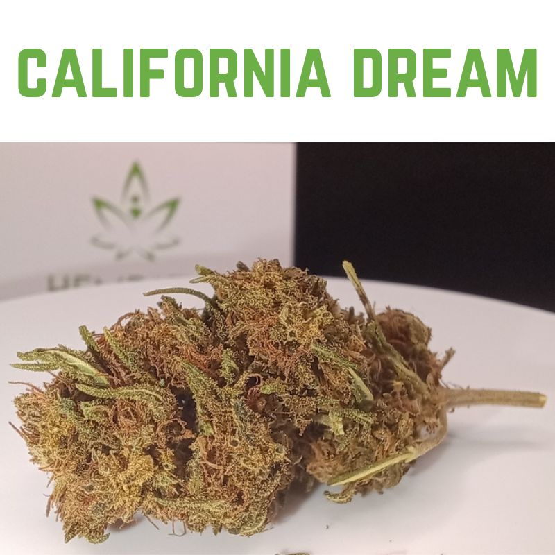 FLEUR CBD - CALIFORNIA DREAM CBD 14%