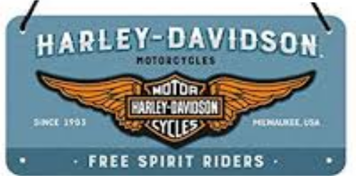 plaque métal harley davidson 20x10