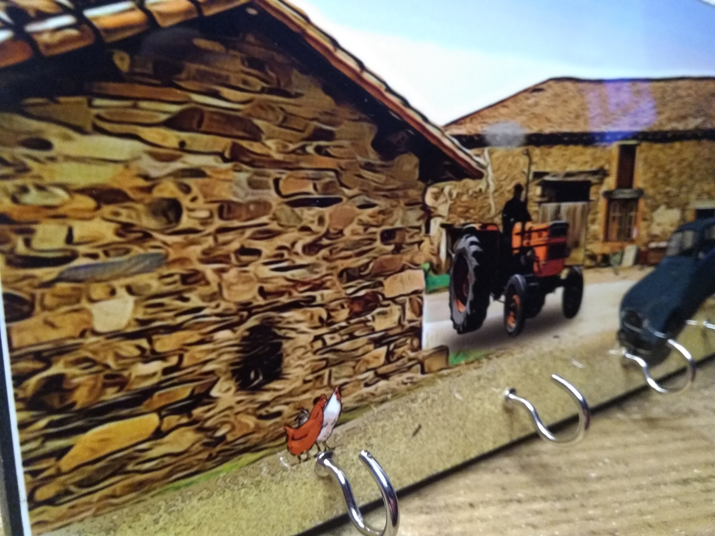 IMG_20220922_072445
