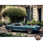 plaque embossée ford mustang gt500 bleue