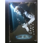 Plaque-metal-30x20cm-JOHNNY-HALLIDAY-Tatouage-tête-loup
