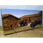 IMG_20220922_072430