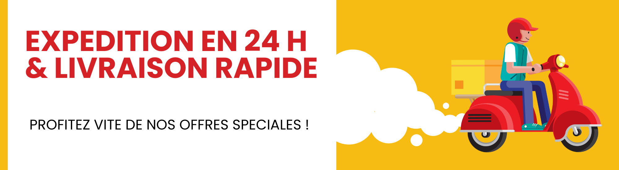 expedition sous 24h livraison rapide