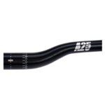 A25 Ter