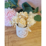 InShot_20260513_192408558