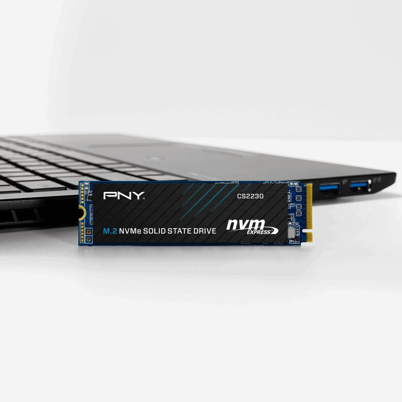 pny-cs2230-m2-gen3-500gb