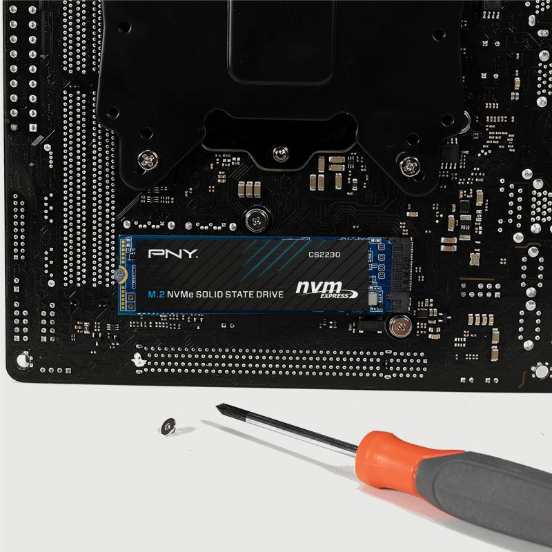 pny-cs2230-m2-gen3-500gb