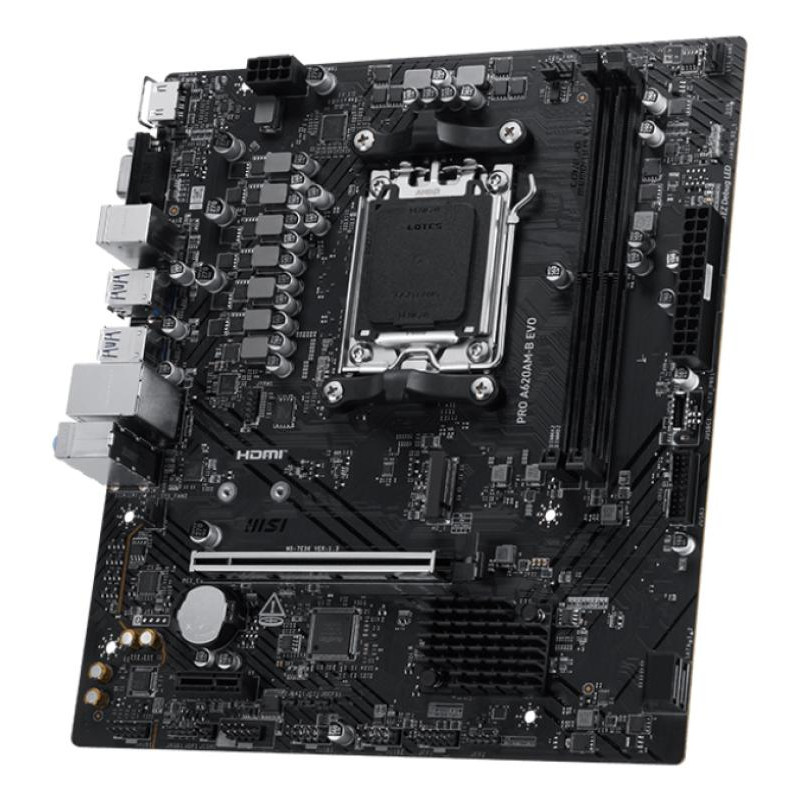 msi-pro-a620am-b-evo