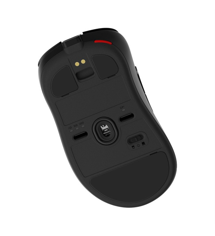 zowie-ec1-cw