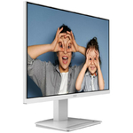 msi-pro-mp2412w