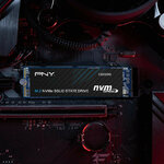 pny-cs2230-m2-gen3-500gb
