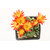 Sulcorebutia_tarabucoensis_callecallensis_L389-3