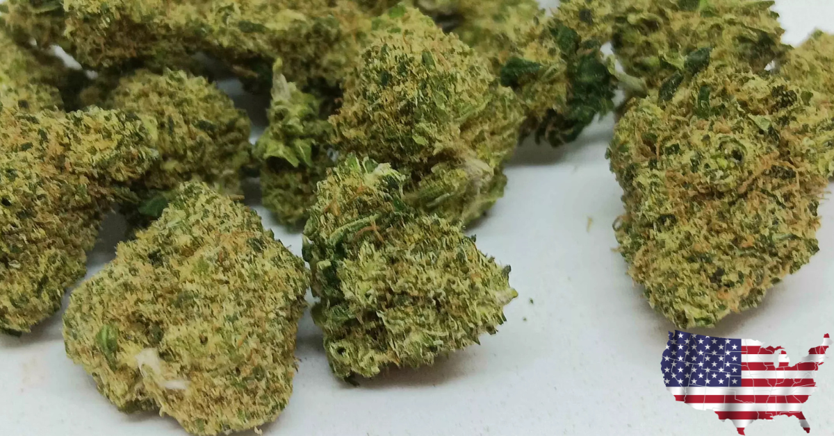 RUNTZ US SMALL BUD