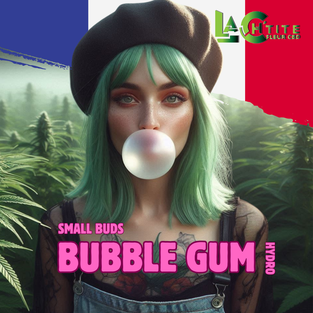 CBD bubble gum hydro
