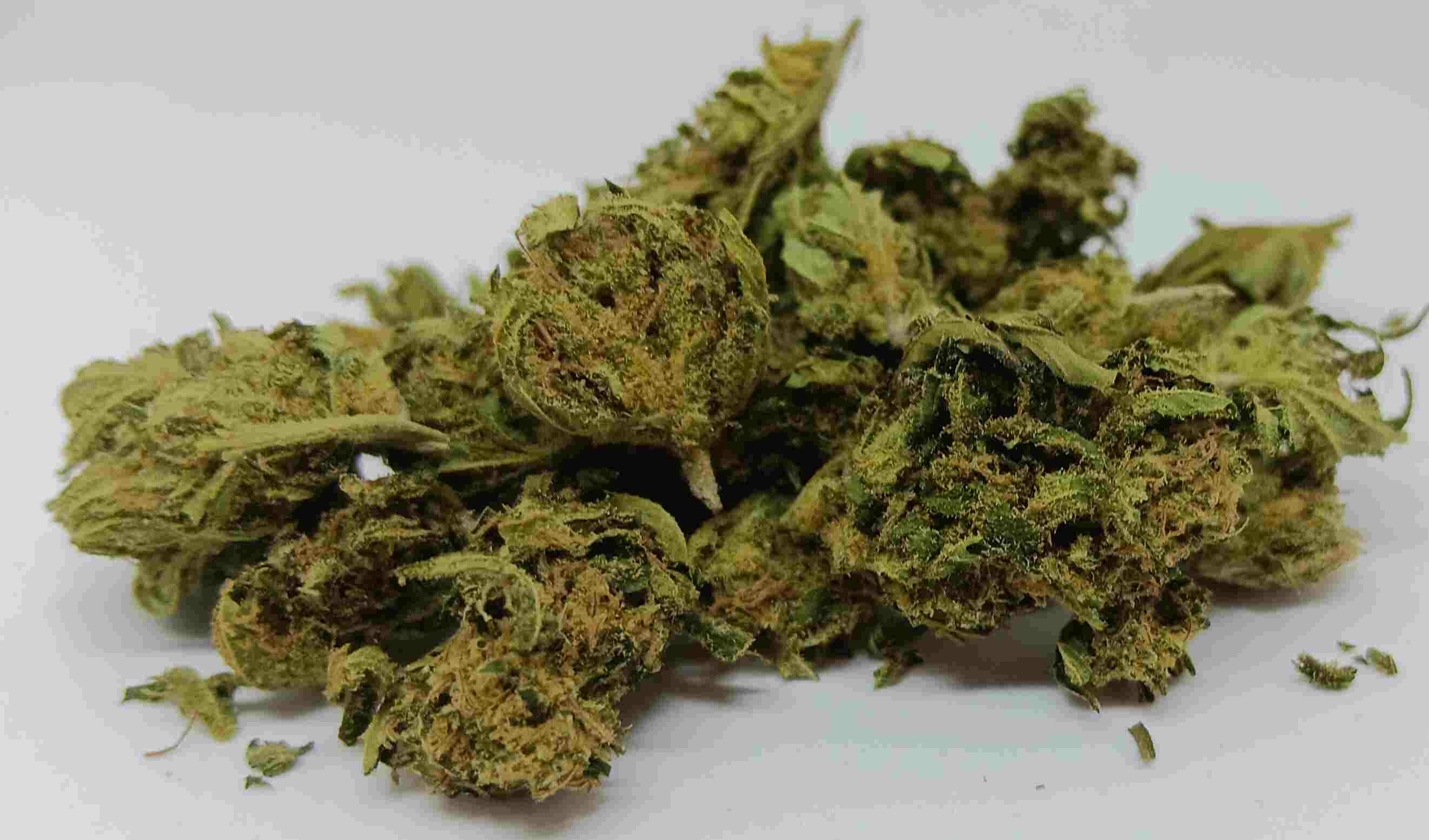 lemon CBD FR