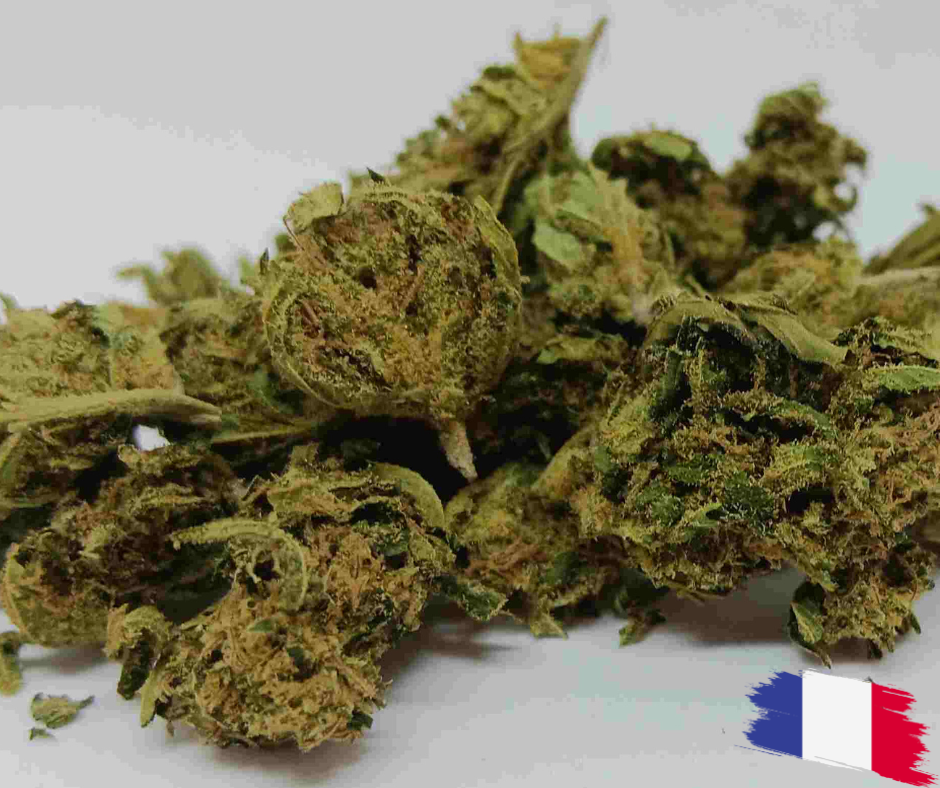 LEMON CBD FR