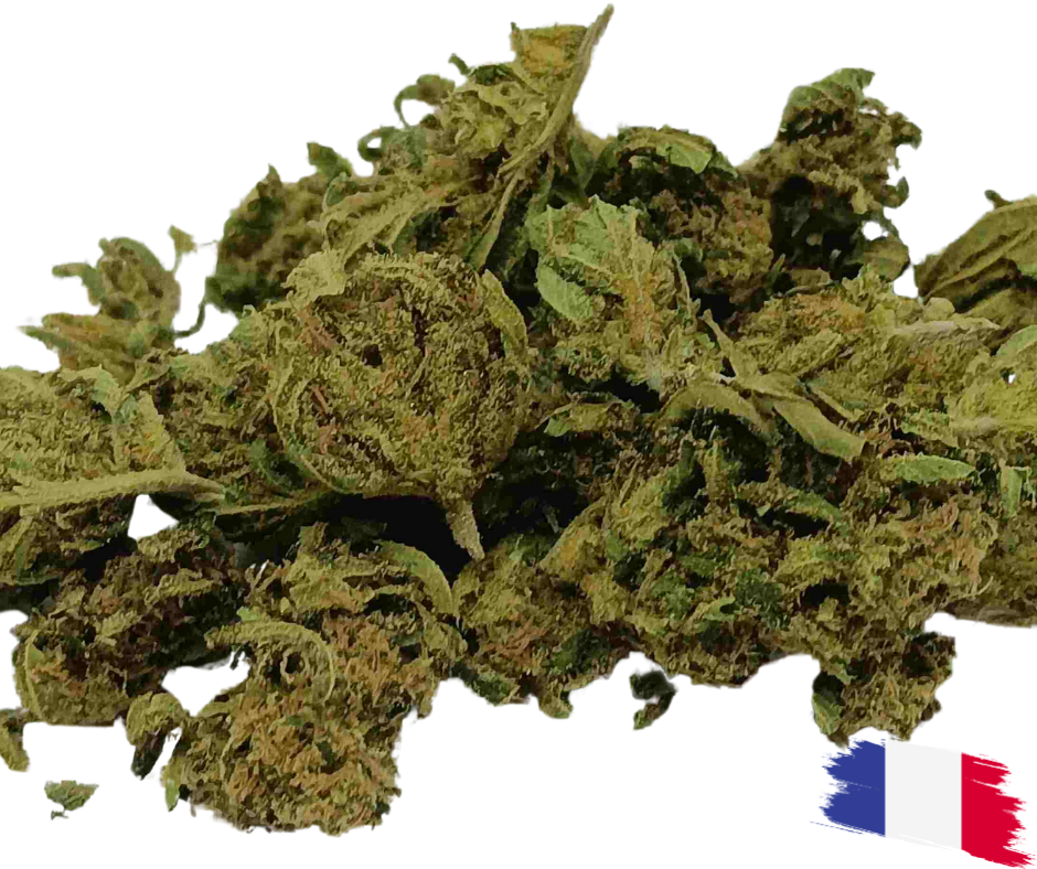 LEMON HAZE FR