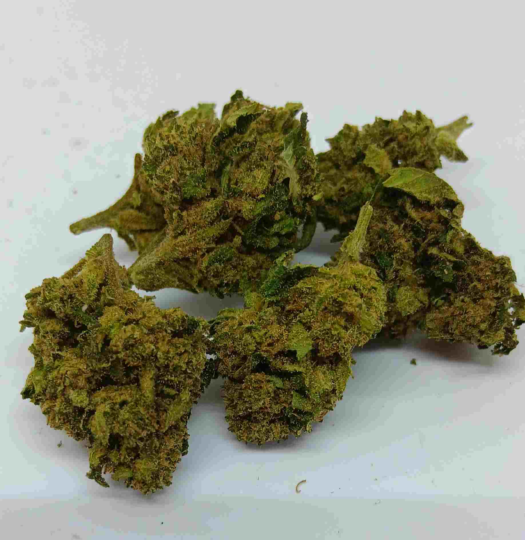 bubble gum hydro