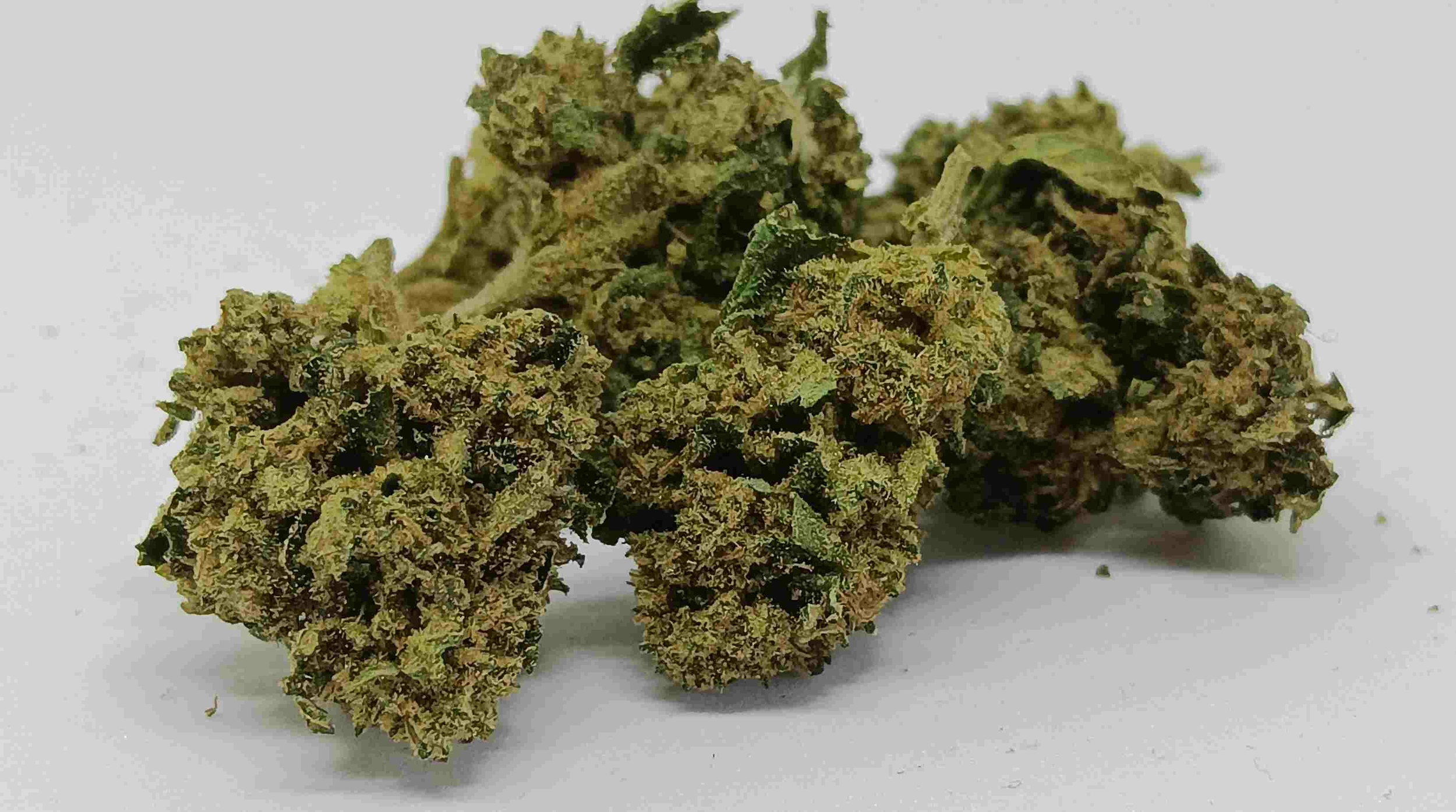 bubble gum hydro small
