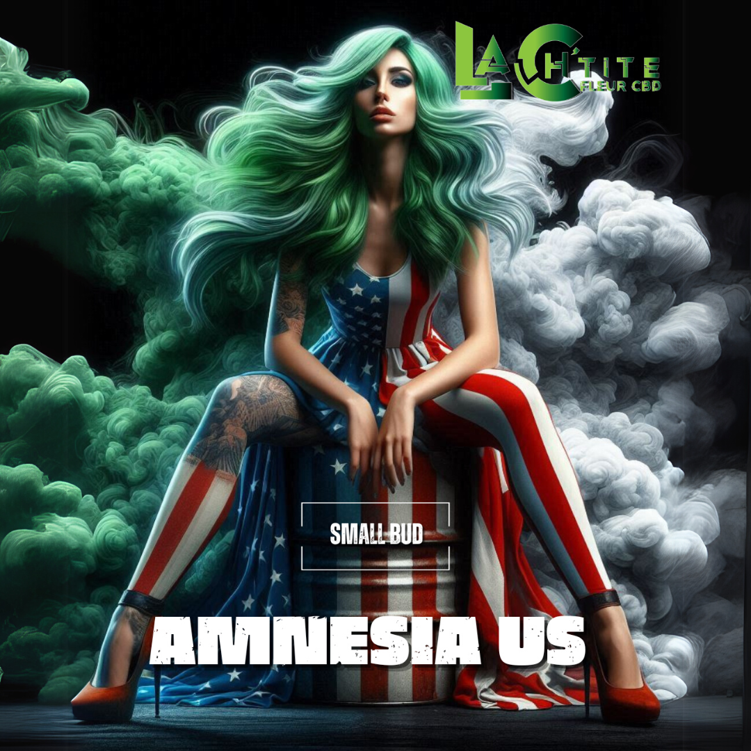 AMNESIA US SMALL BUD CBD 10% THC 0.3%