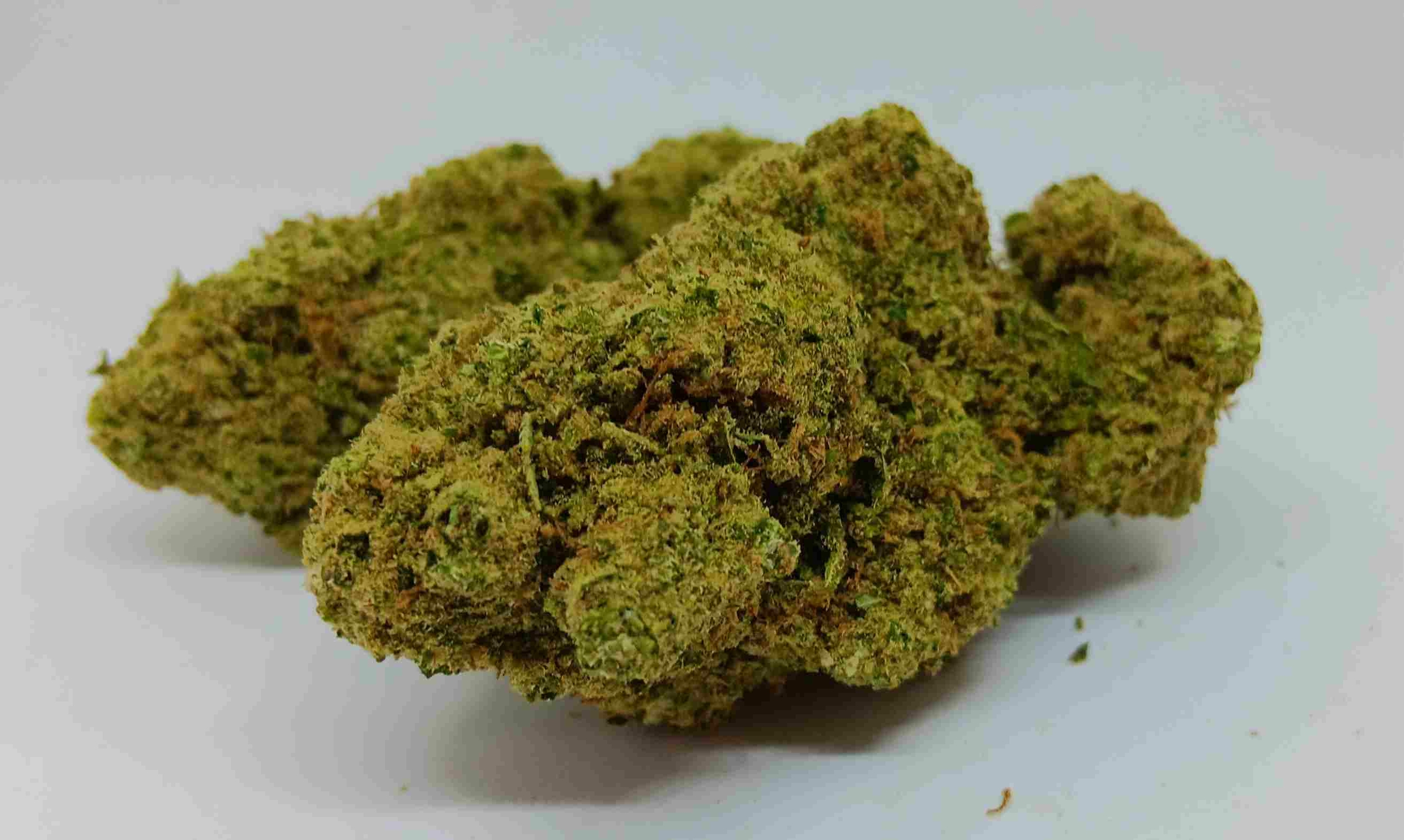 dolce gelato indoor