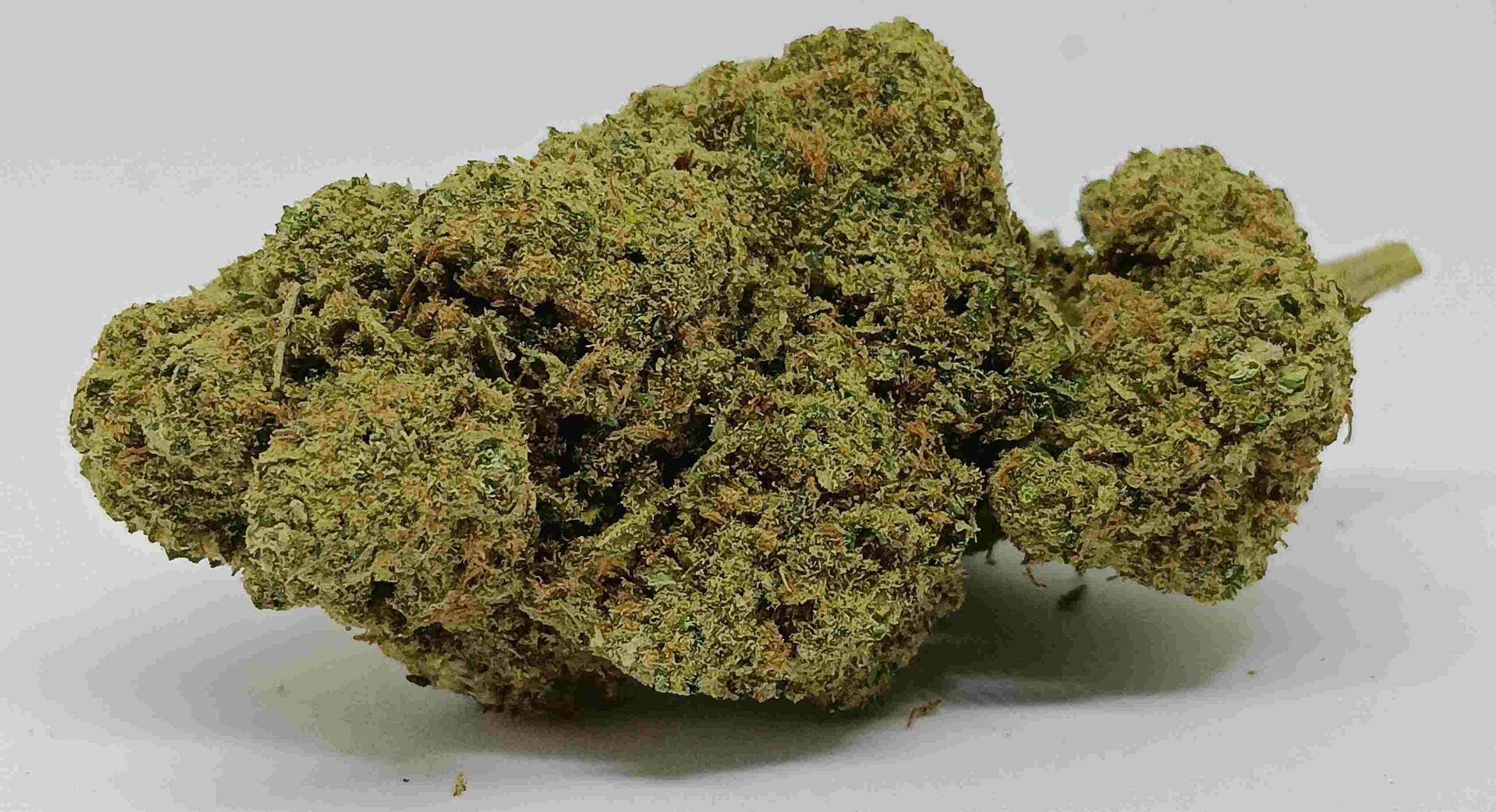 Dolce gelato CBD