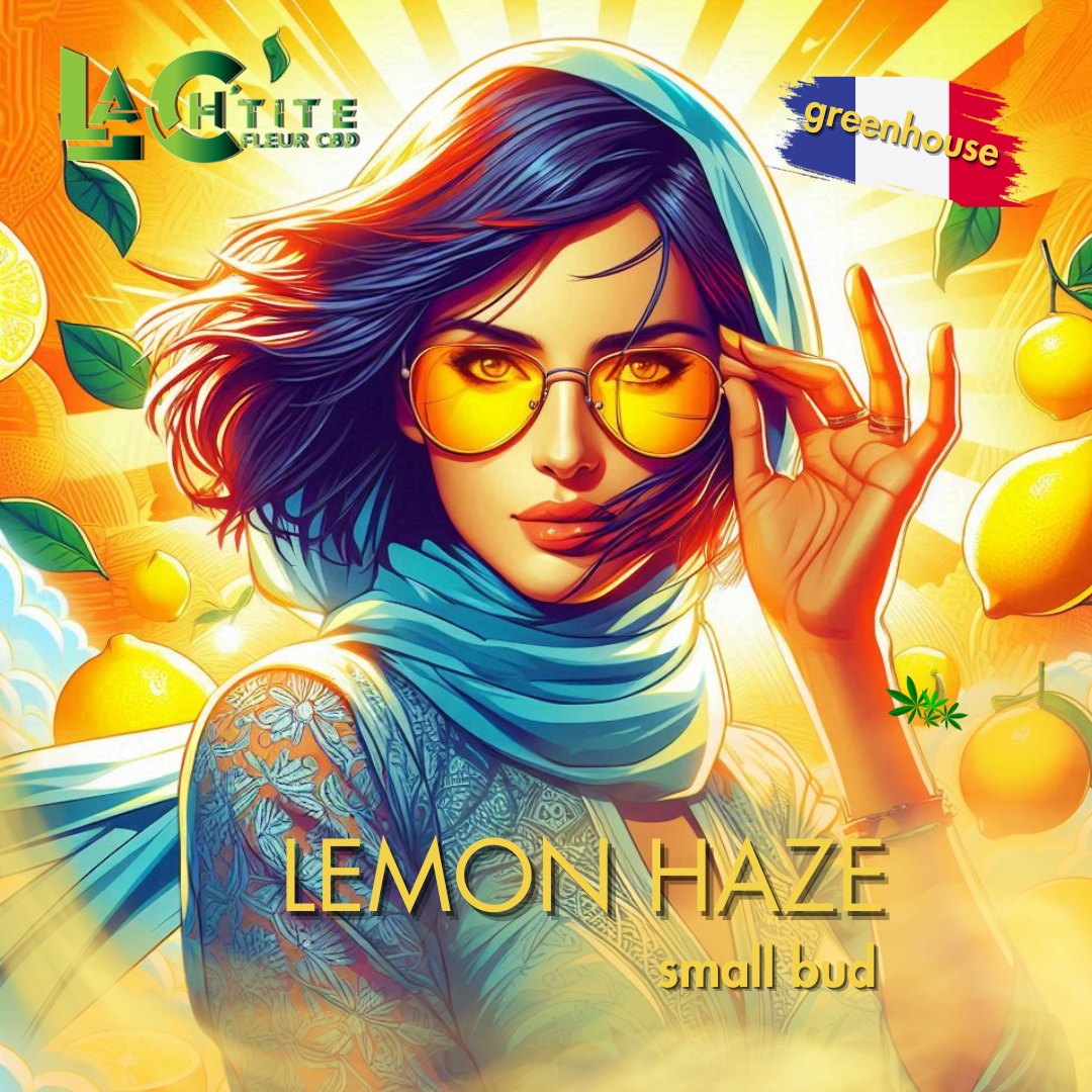 lemon haze small bud greenhouse