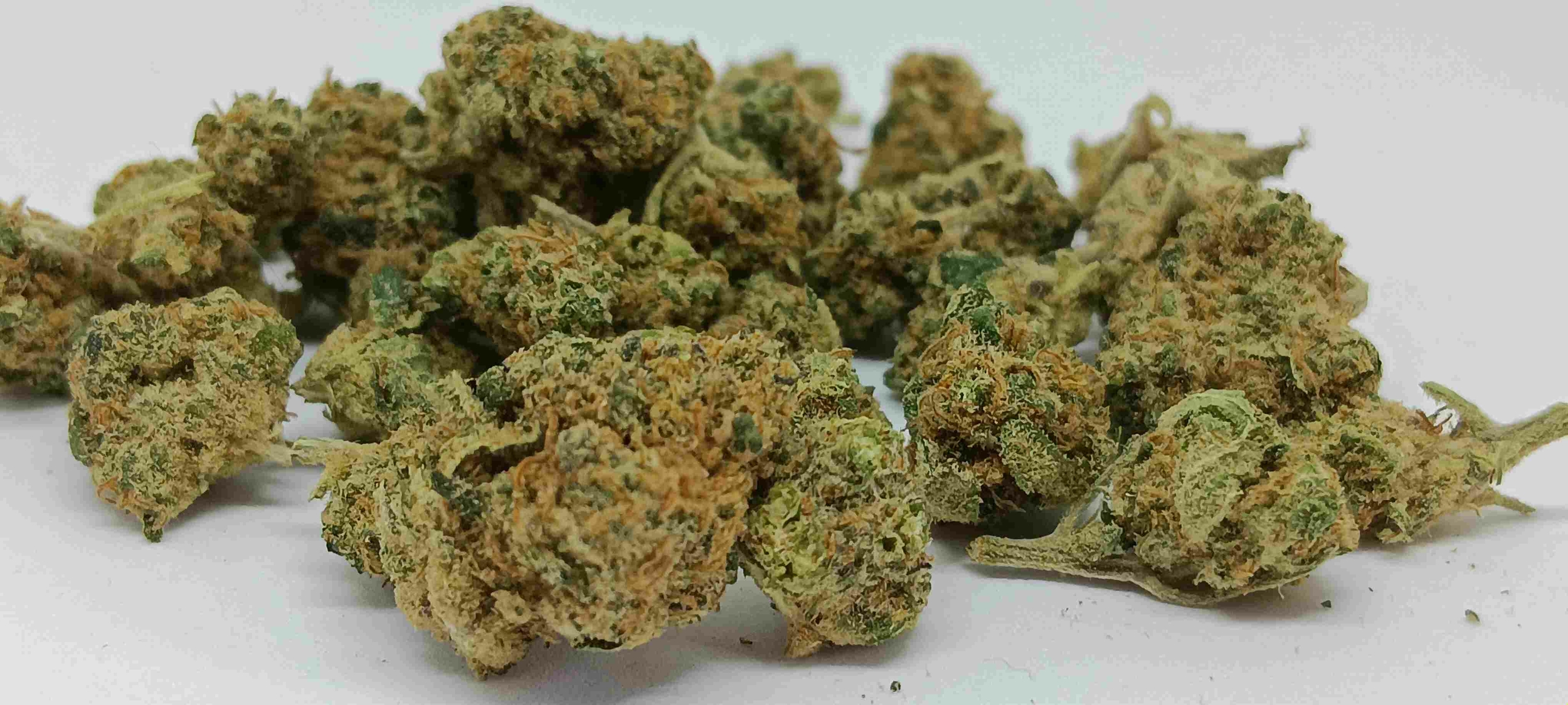 blueberry muffin CBD