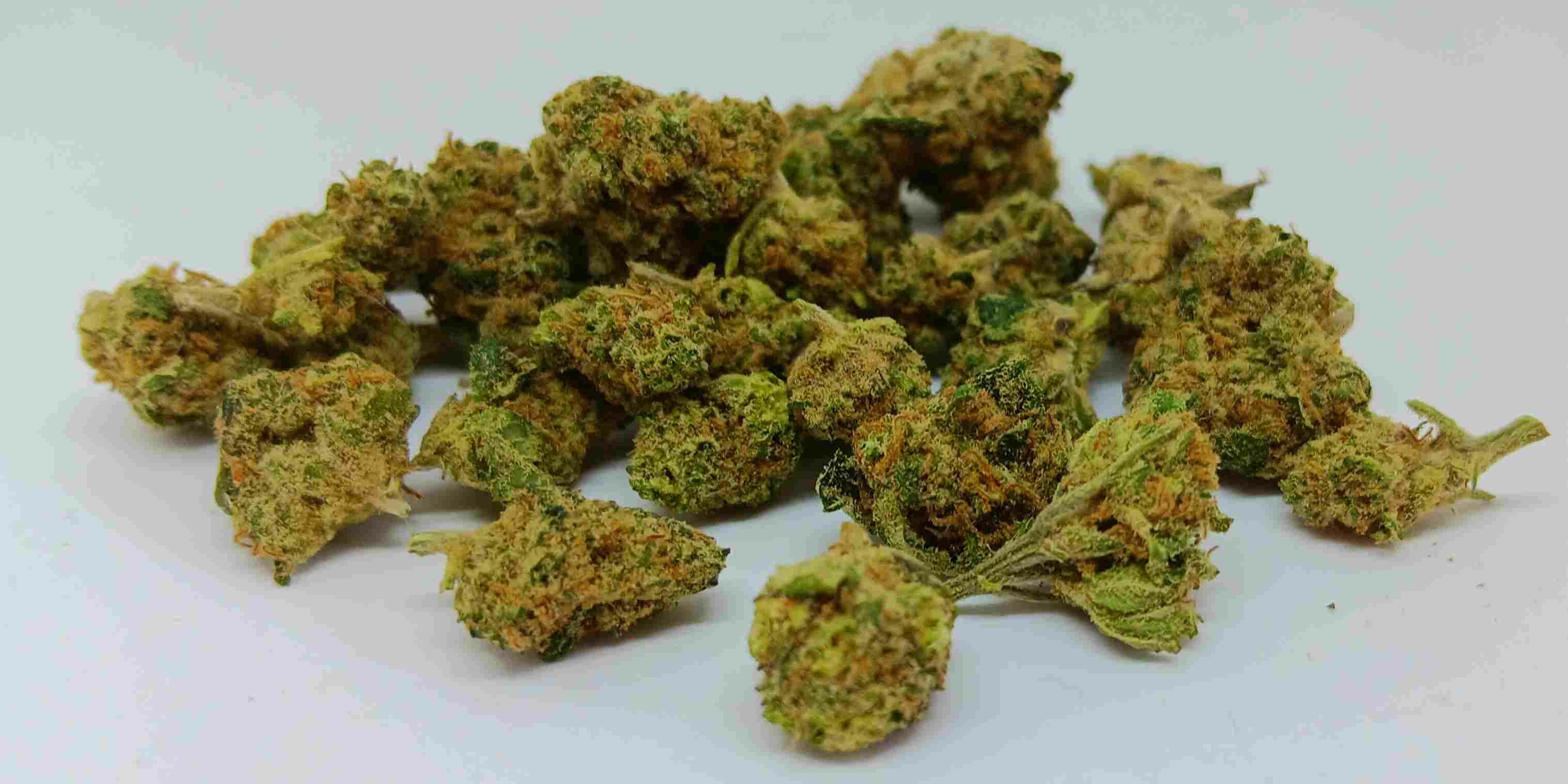 blueberry muffin indoor cbd