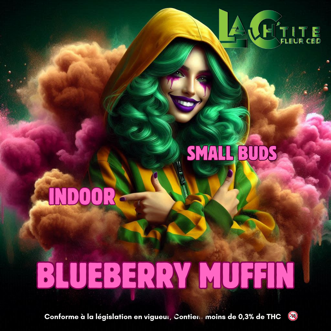 blueberry muffin small bud indoor cbd