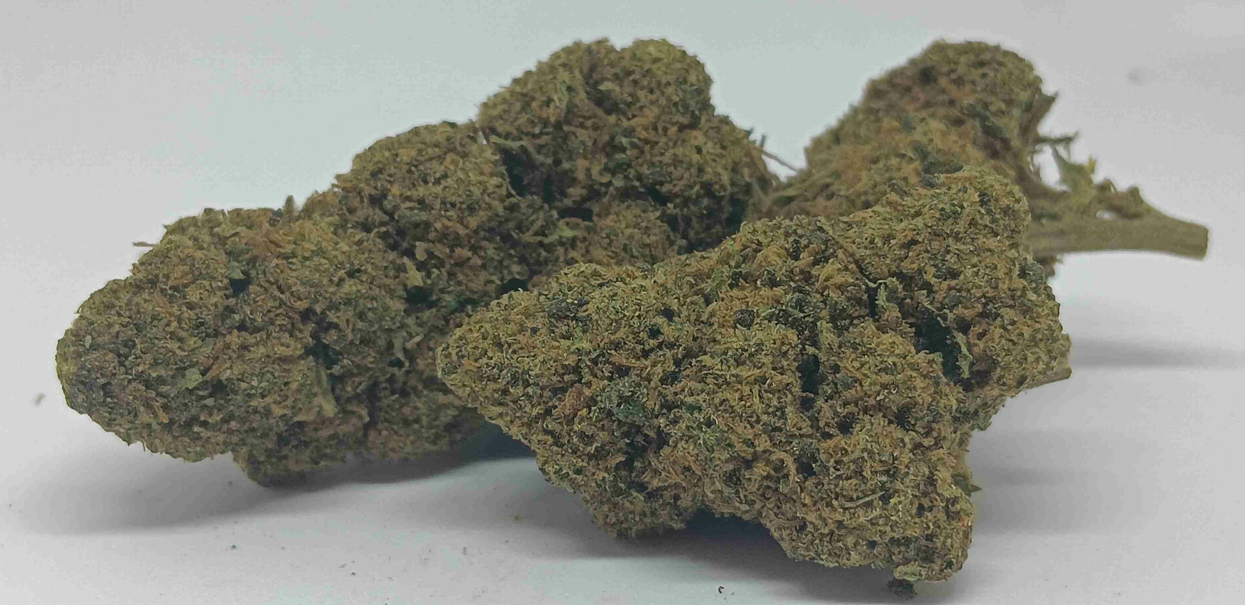 grape gaz cbd indoor