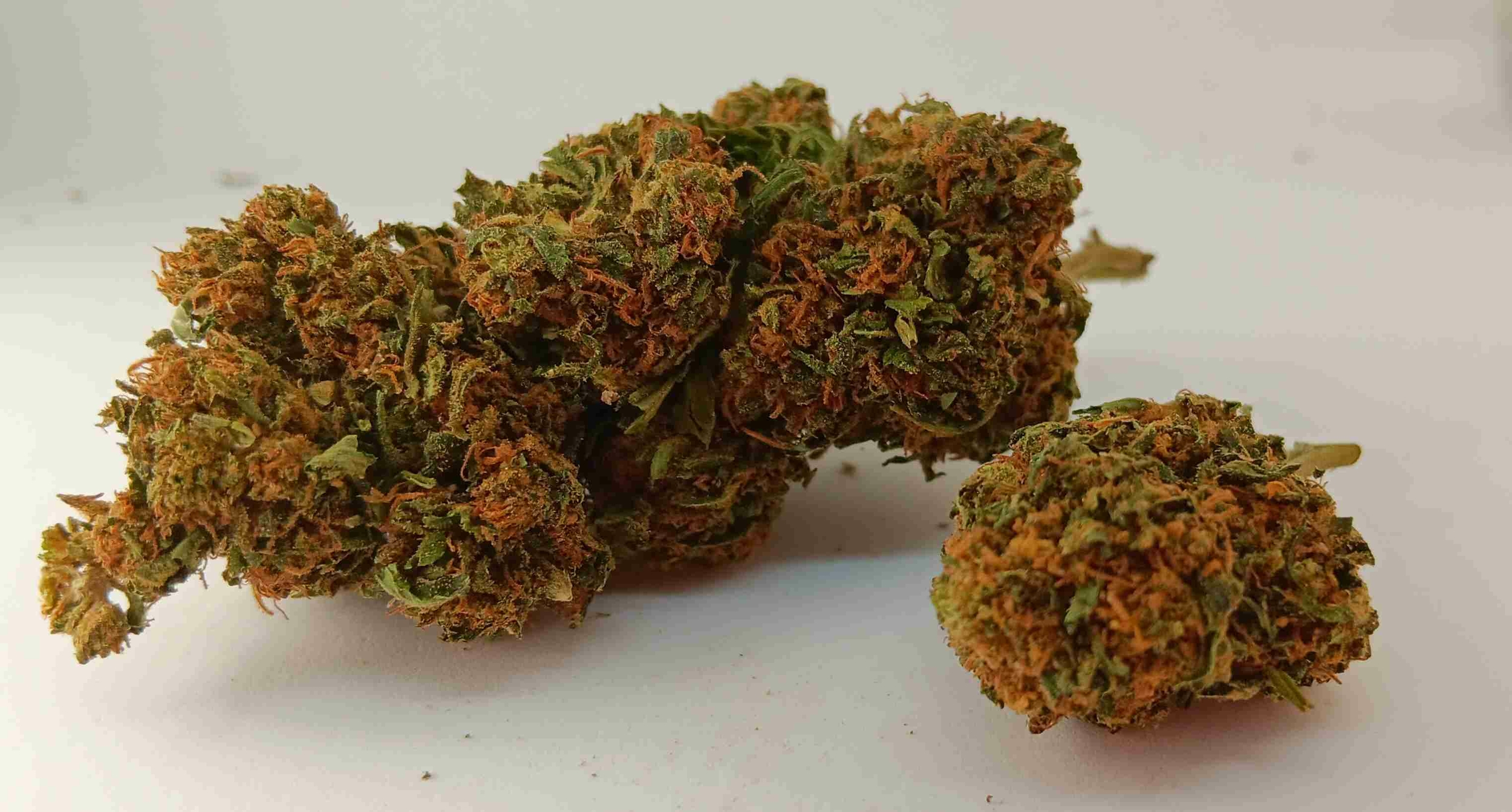 mandarine kush