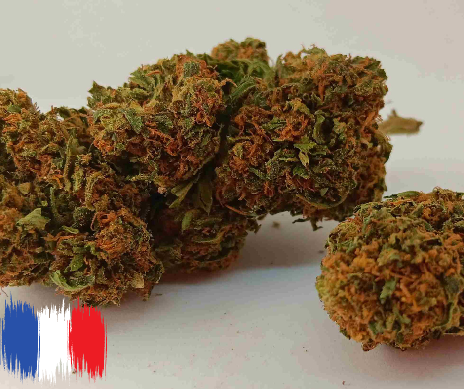 mandarine kush made in france