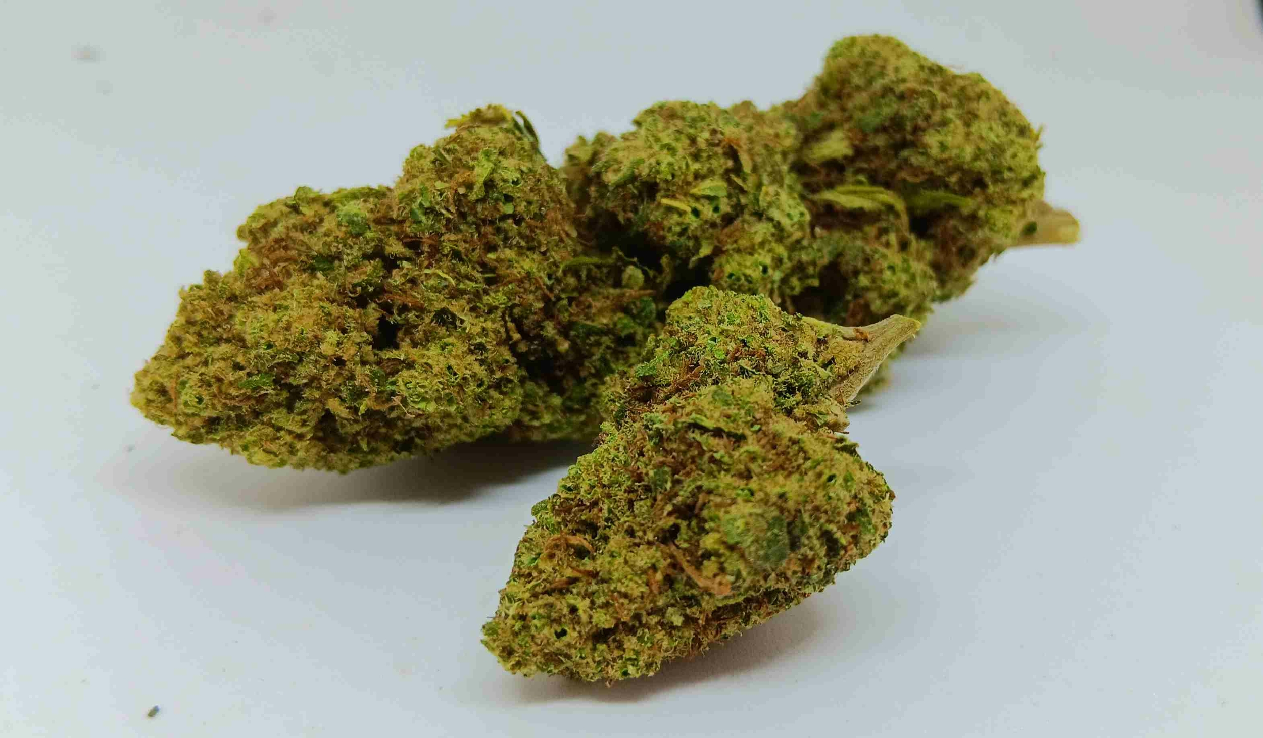 og kush indoor