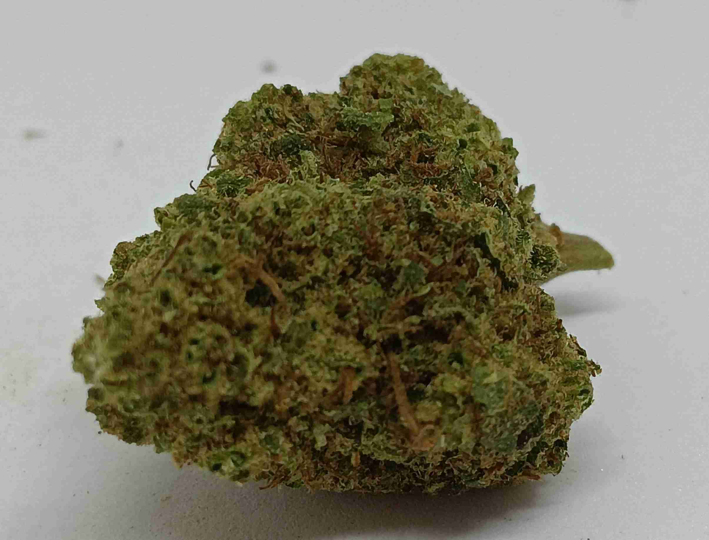 og kush cbd