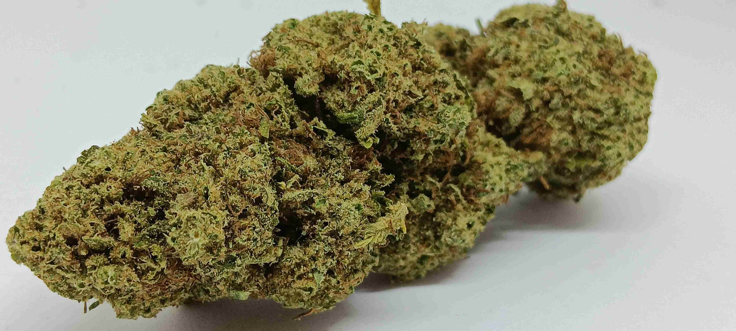 cbd og kush