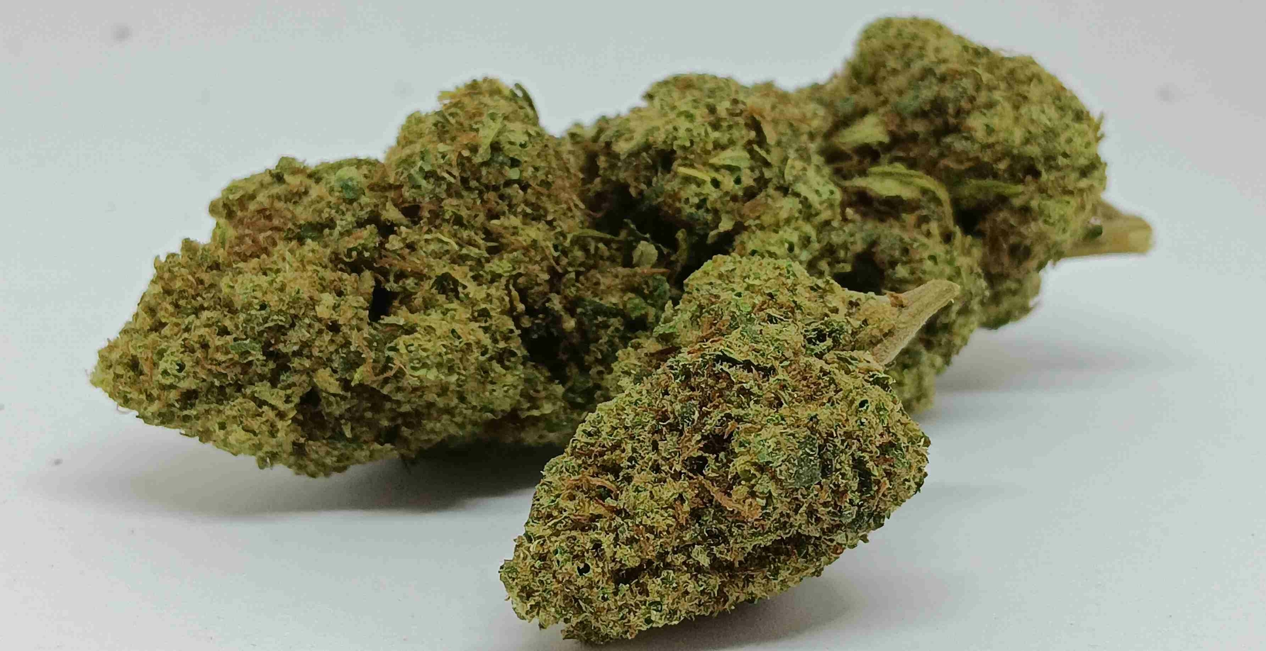 cbd indoor og kush