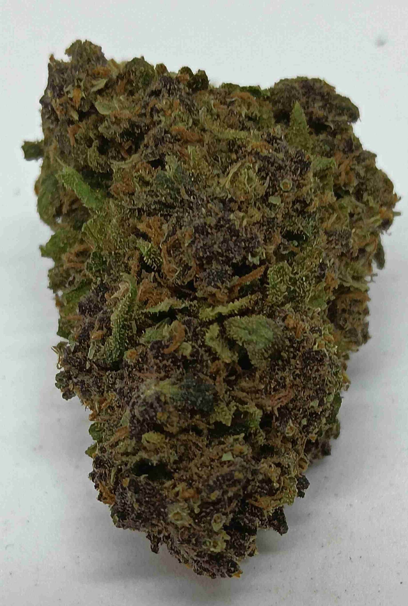 purple citrus